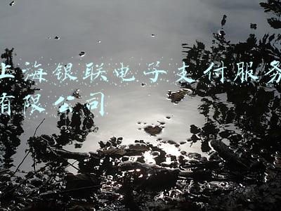 上海银联电子支付服务有限公司