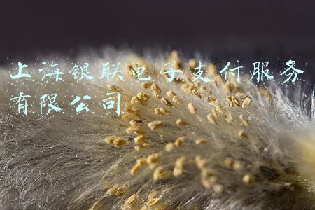 上海银联电子支付服务有限公司