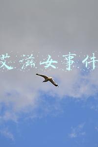 艾滋女事件