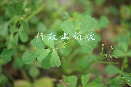 行政上诉状第三人上诉格式(行政上诉状模板)