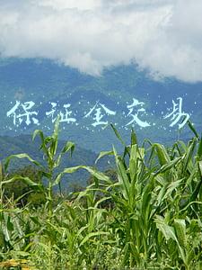 保证金交易