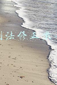 刑法修正案七