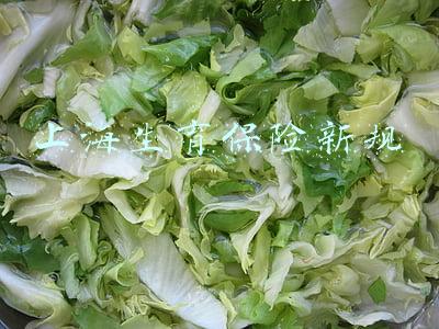 上海生育保险新规