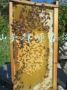 汕头律师咨询