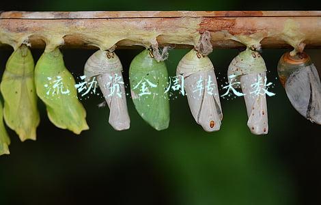 流动资金周转天数是总量指标吗(2.3学习笔记之财务指标3)