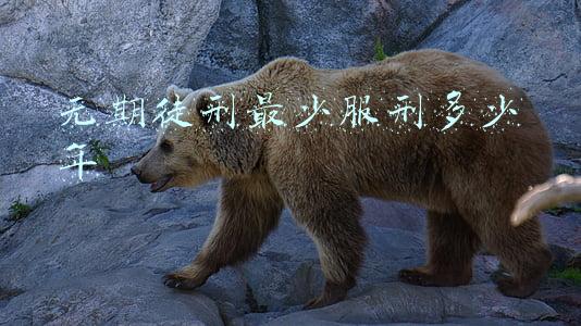无期徒刑最少服刑多少年