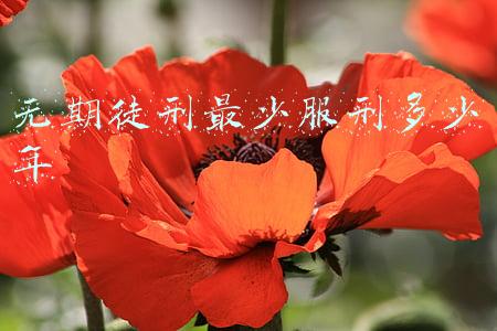 无期徒刑最少服刑多少年