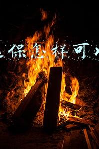 保险退保怎样可以退全款