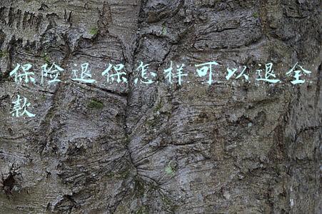 保险退保怎样可以退全款