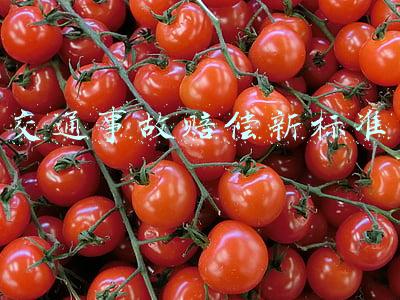 交通事故赔偿新标准