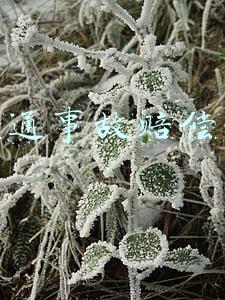 交通事故赔偿网