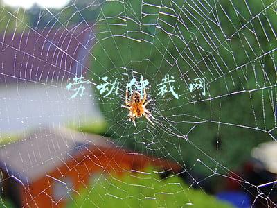 劳动仲裁网