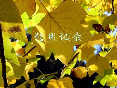 信用记录