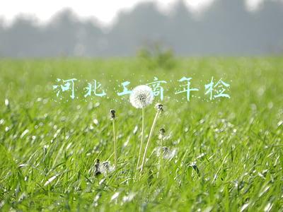 河北工商年检