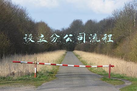 设立分公司流程