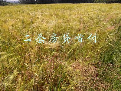 二套房贷首付