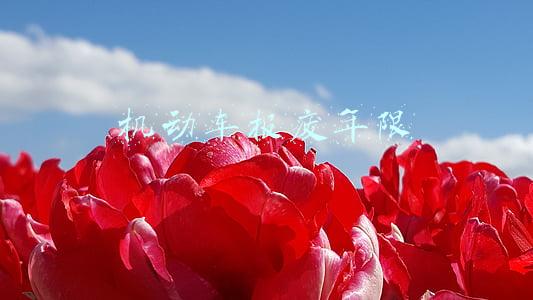 机动车报废年限