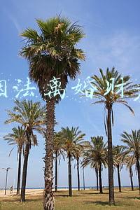 新婚姻法离婚财产分割