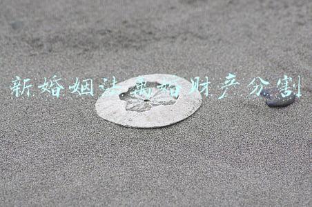 新婚姻法离婚财产分割