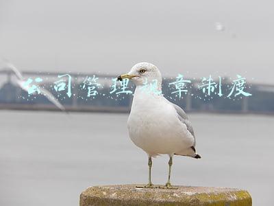 公司管理规章制度