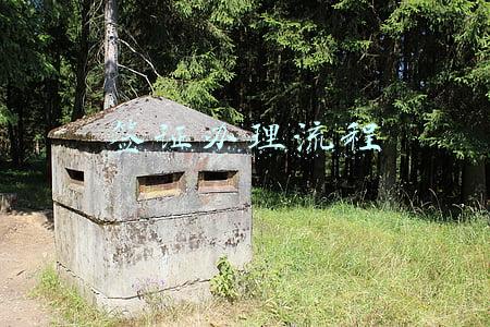 签证办理流程