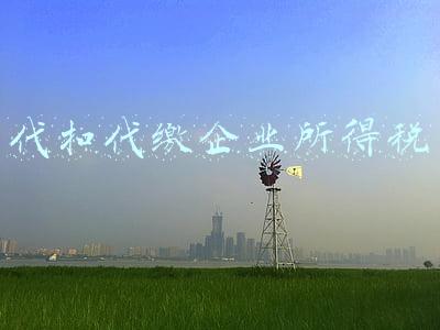 代扣代缴企业所得税的范围(什么情况下要代扣代缴企业所得税)