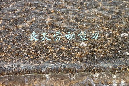 丧失劳动能力证明在哪里开(劳动能力鉴定)