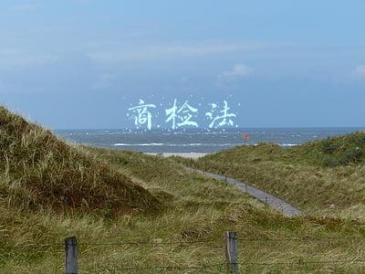 商检法