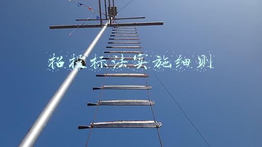 新的招投标法实施细则(招标投标法实施条例)