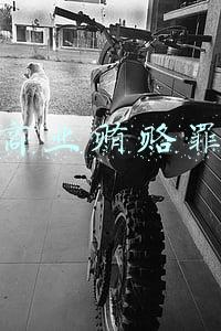 商业贿赂罪