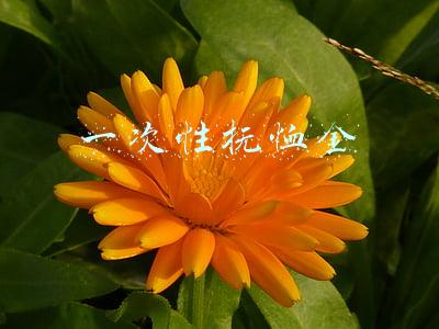 一次性抚恤金