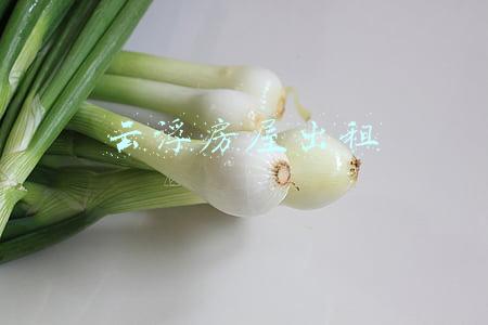 云浮房屋出租