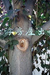 云浮房屋出租