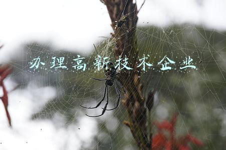 办理高新技术企业