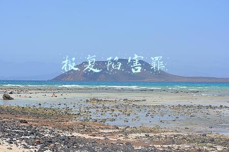 报复陷害罪