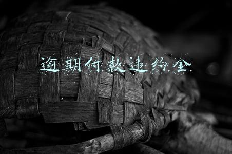 逾期付款违约金