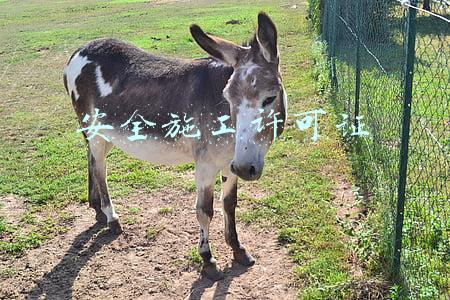 安全施工许可证