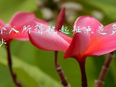 个人所得税起征点是多少