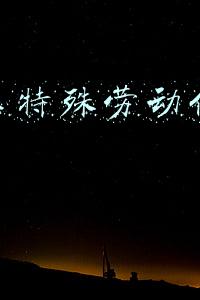女职工特殊劳动保护条例
