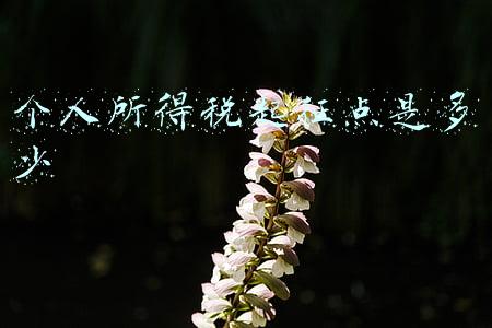 个人所得税起征点是多少