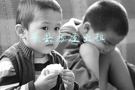 莘县房屋出租信息(校长不上班、吃空饷、办辅导机构？聊城这里纪委通报)