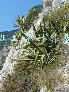 加班工资计算基数