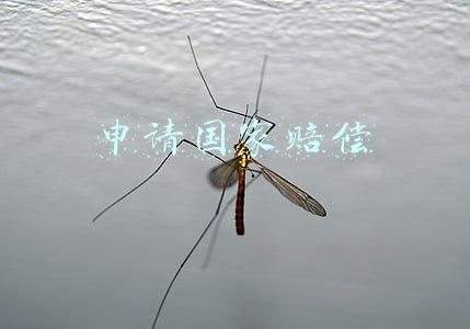 申请国家赔偿