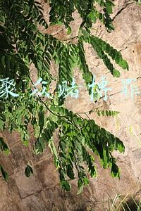 聚众赌博罪