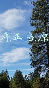 程序正当原则