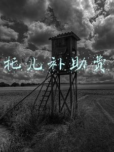 托儿补助费是什么意思(兰州市人力资源和社会保障局回应“托儿补助费”一事)