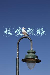 收受贿赂