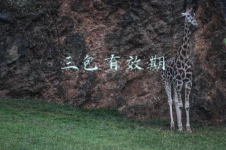 三包有效期
