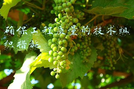 确保工程质量的技术组织措施有哪些(施工技术方案编制的主要内容)