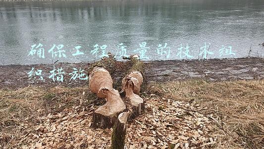 确保工程质量的技术组织措施
